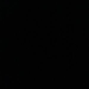 Meet your Posher, Kendall